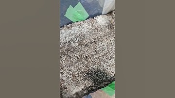 Coco Coir casing vs. NO casing