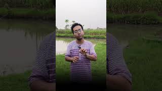 খাওয়ার জন্য কি প্রাণিহত্যা করা উচিত?~ #1MinuteLearning #BanglaExplained #PoliticsExplained #debate