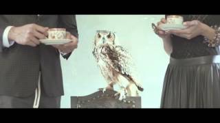 Cocolino - Backward Video Edit