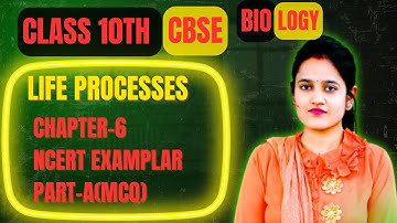 Life Processes Class 10 Biology MCQ Part A | NCERT Exemplar Chapter 6 | Board Exam Practice