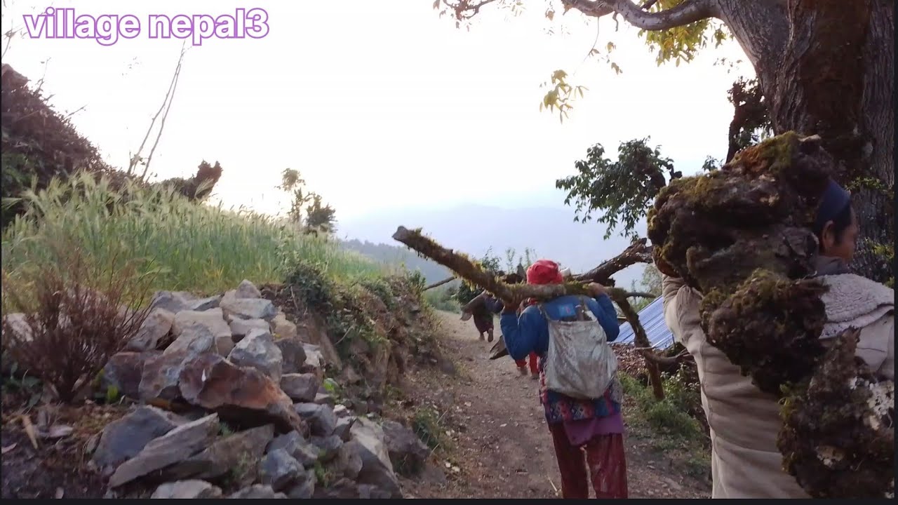 The daily village activities of rural life||amazing and peaceful place of rural life.