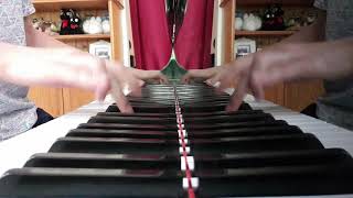 Flâneur - Plini [Piano Cover]