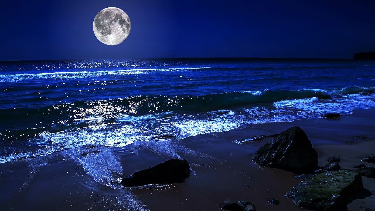 Beach At Night With Moon