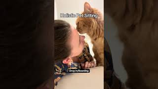 Animal healing. Holistic Pet sitting Dubai. Cat sitter.