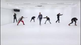 [CHOREOGRAPHY] BTS (방탄소년단) '봄날 (Spring Day)' Dance Practice