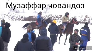 картинка: Срочно,Музаффар човандоз хамара кушти мусобикаи бузкаши дар Н Сангвор собик тавилдара чамоати заршуё