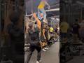 フィジギフに懸垂の補助を頼んだ結果… #shorts