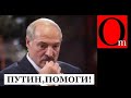 Лукашенко сдулся! ЕС накрывает четвертым пакетом санкций колхозного таракана