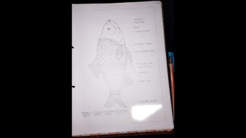 practical record class 12th zoology part-1#study#shorts