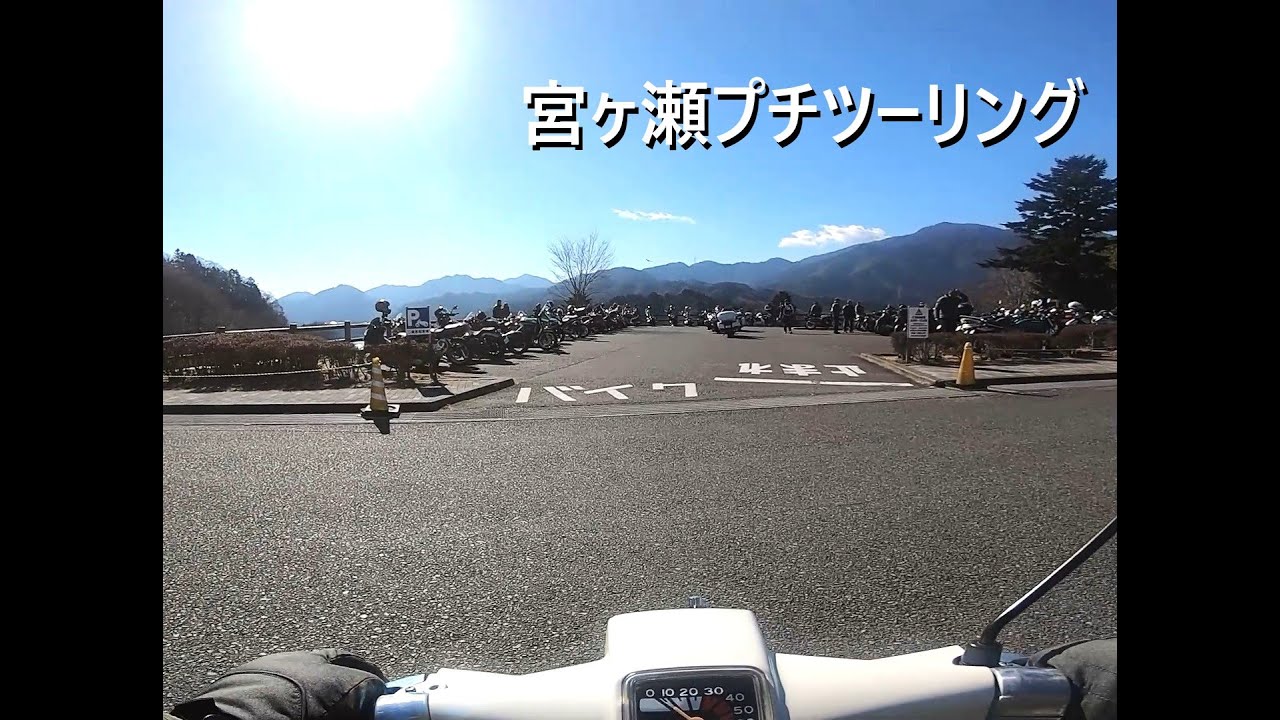 [薔薇]宮ヶ瀬プチツーリング