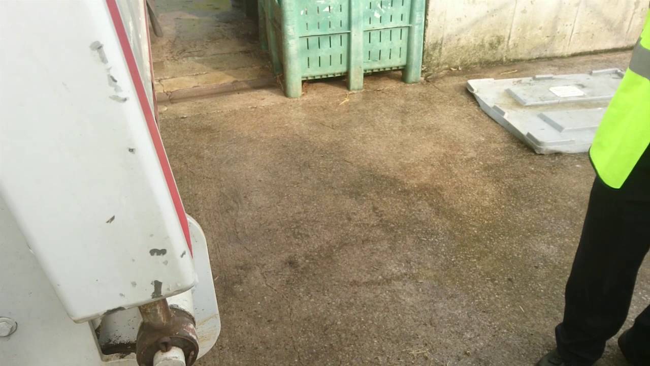 Vegans enter Tulip Slaughterhouse in Manchester YouTube