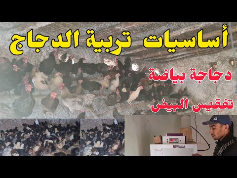 مشروع ناجح ومربح  إدا تم التخطيط له بشكل جيد وتنفديه بطريقة صحيحة