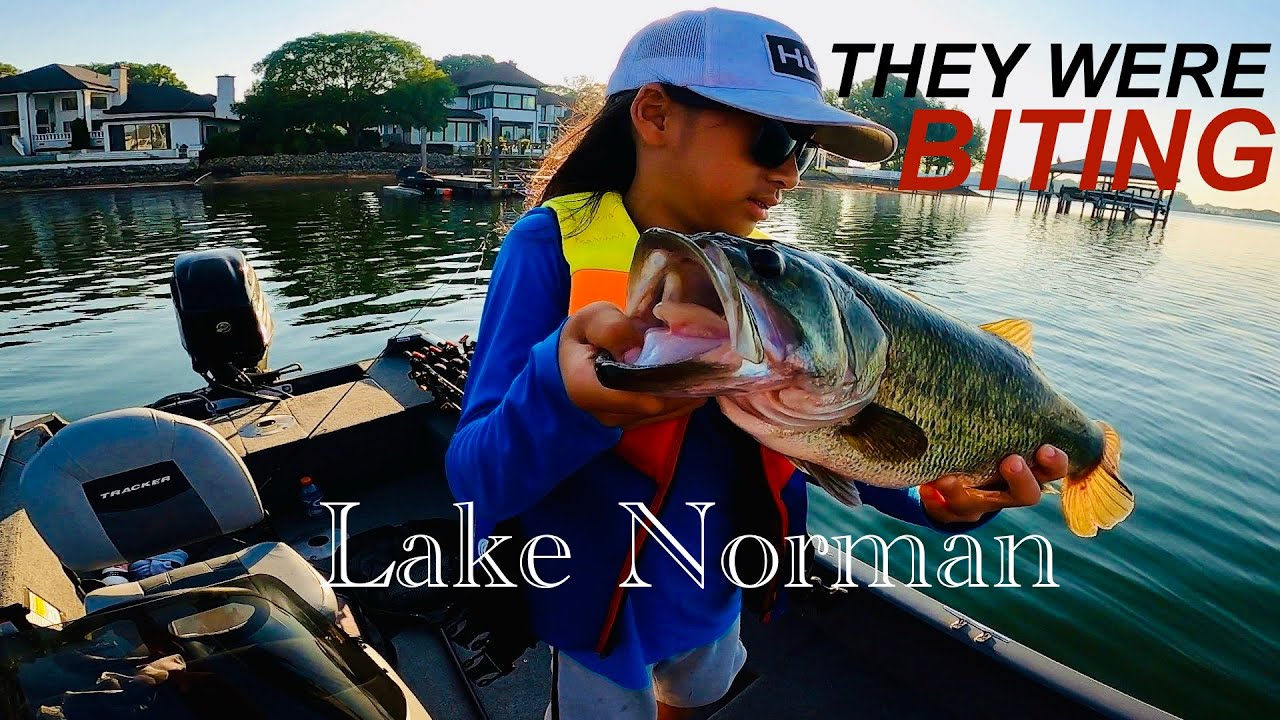 BASS Fishing | They Were BITING | LAKE NORMAN | 06/12/2026