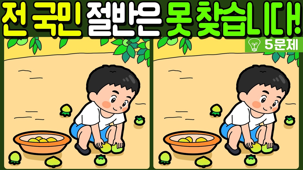 【다른그림찾기/치매예방】전 국민 절반은 못 찾는 차이점 3가지!【 find difference / 두뇌운동/3개 찾기/5문제/#1192】