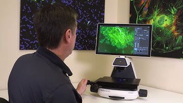 EVOS M5000 Cell Imaging System: Fluorescence Imaging Demo and Tutorial