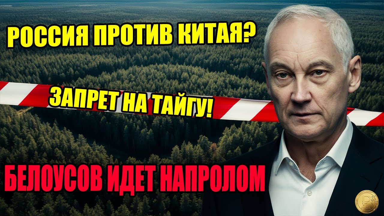 ЛЕС ЗАКРЫТ! Белоусов перекрыл вывоз тайги навсегда