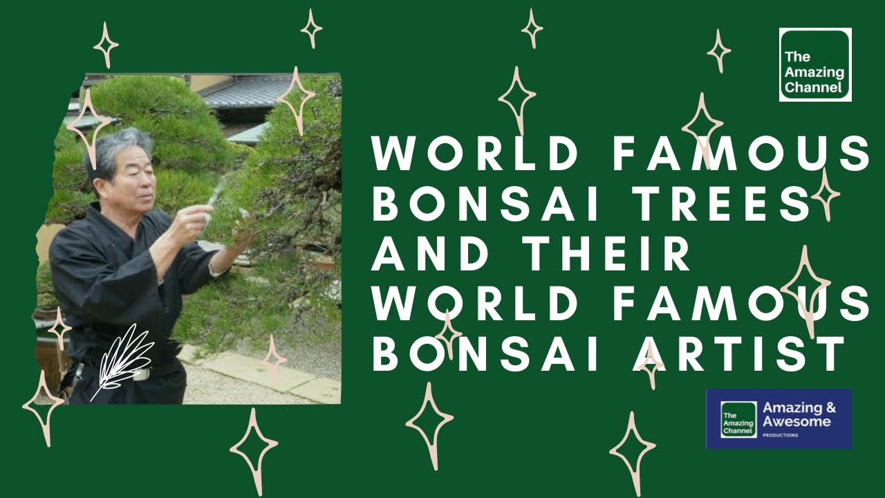 AMAZING BONSAIS World Famous Bonsai Trees and their World Famous