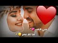 قد المطر حلات واتس اب رومانسية 