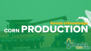Corn Production - Kernels of Knowledge🌽