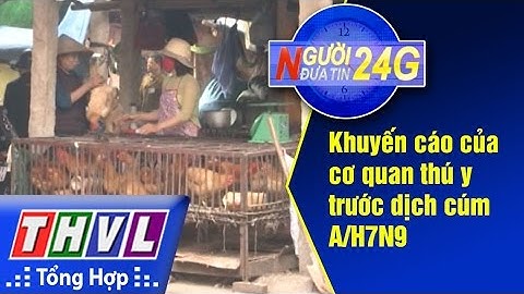 THVL | Người đưa tin 24G: Khuyến cáo của cơ quan thú y trước dịch cúm A/H7N9