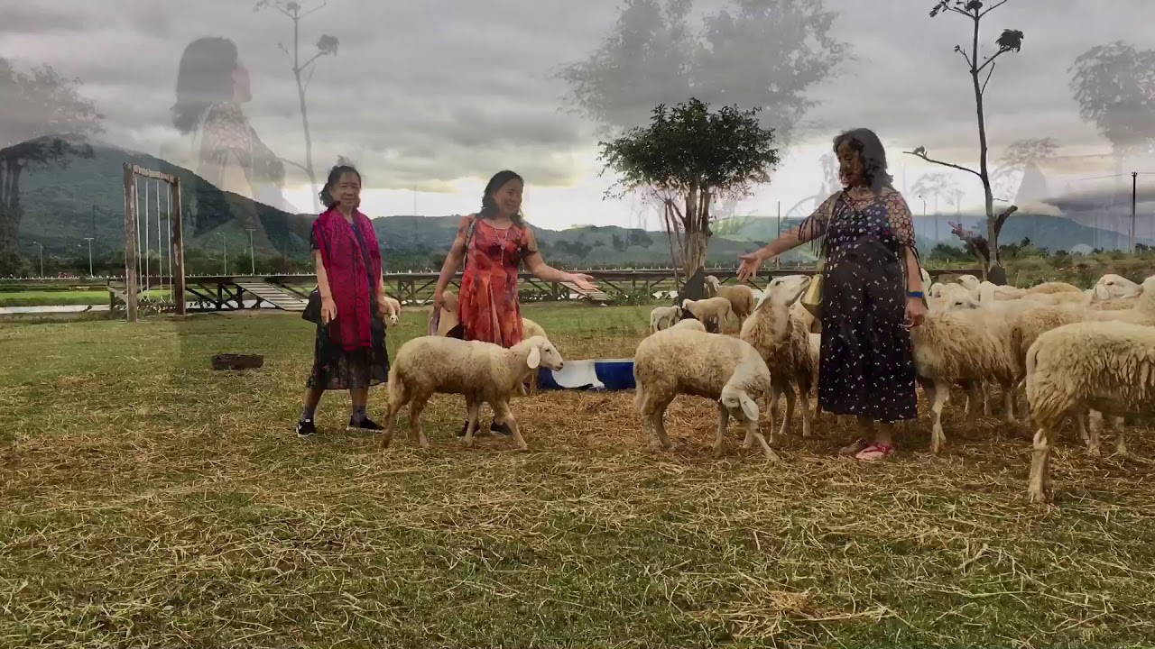 Bản nhạc Polonaise của Oginsky.