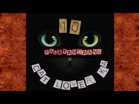 10-palatandaang-certified-cat-lover-ka