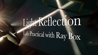 PRACTICAL: How to conduct experiment on light reflection with a mirror and a ray box - Physics Rox