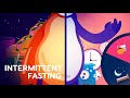 Intermittent Fasting  (For Dummies) - What is Intermittent Fasting - Keto Diet Plan Similarities