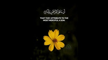 وقالوا اتخذ الرحمن ولدا شاشة سوداء _ محمد الغزالي بدون حقوق سورة مريم - السنة الجديدة ٢٠٢٥