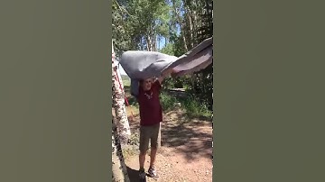 How to get into a higher up hammock