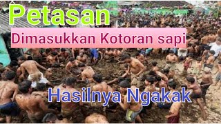 Kotorantelepong Sapi Dimasukin Petasan Hasilnya Bikin Ketawa