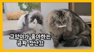 고양이가 좋아하는 장난감 by 써니포캣 sunny4cats 129 views 2 years ago 2 minutes, 18 seconds