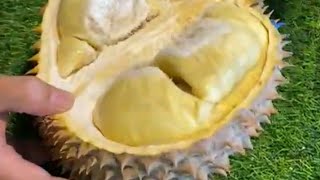 Unboxing Durian montong 😍👍 montong palu premium ☺️ #durianmontong #viral