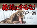 ヒグマに遭遇したら...