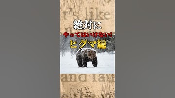 ヒグマに遭遇したら...