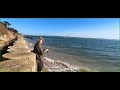 Part of the New Forest coast walk in March