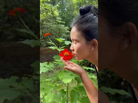 Camp In The Deep Forest Survive By The Stream Have Fun With Nature 01 Ly Phally Little Girl