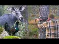 Hunting in Sweden - Moose and Wood Grouse Hunting 2 | Lov u Švedskoj - Lov na losa i tetreba II deo