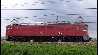 EF81 141 単機回送　信越本線上り