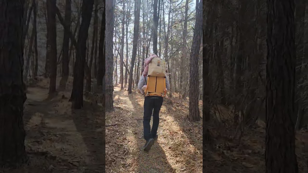 봄을 기다리며 파주 보현산에 오른 해나