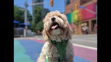 Key Features of a Parabola