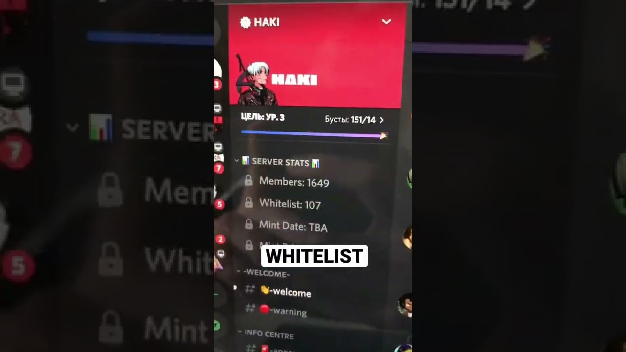 New NFT gem HAKI | Best anime  NFT project