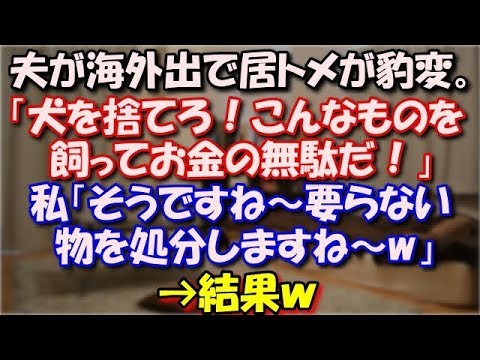 【スカッとする話】 夫が海外出張に出てから同居トメが豹変。 ﾄﾒ「犬を捨てろ！こんなものを飼ってお金の無駄だ！」 私「そうですね～要らない物を処分しますね～w」 →結果ｗ スカッと修羅場ラバンダ