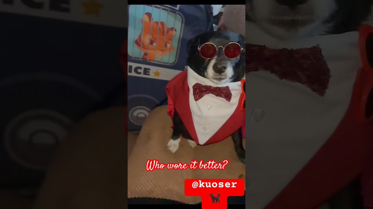 Koose Koose or brother Mystik 