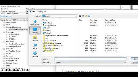 Rename Revit Families