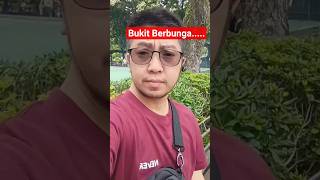 Download Lagu Bukit Berbunga#dangdut#jandhut#lagulawas#koplo#campursari #duet #nostalgiabaladadangdut #automobile MP3
