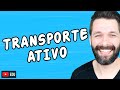 TRANSPORTE ATIVO - CITOLOGIA | Biologia com Samuel Cunha