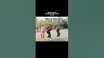 PICA PICA TIKTOK VIRAL #shorts