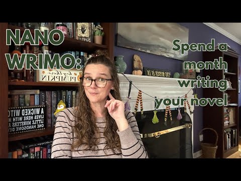 NANOWRIMO: what happens