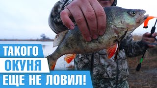 Новое озеро полное хищника / Пайкодром, Грибовка